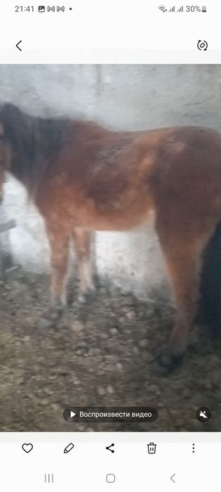 Продам бие обмен