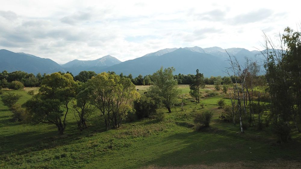 Продава се Парцел в Разлог - 4400 кв.м за 32 €/кв.м - Снимка #4