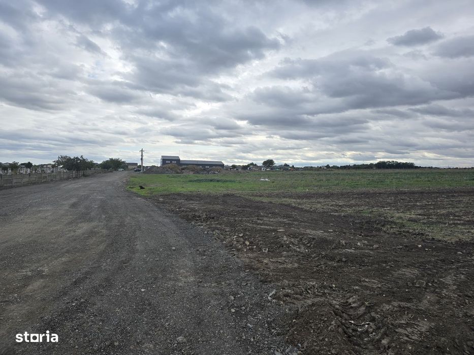 Teren de vanzare in Ovidiu