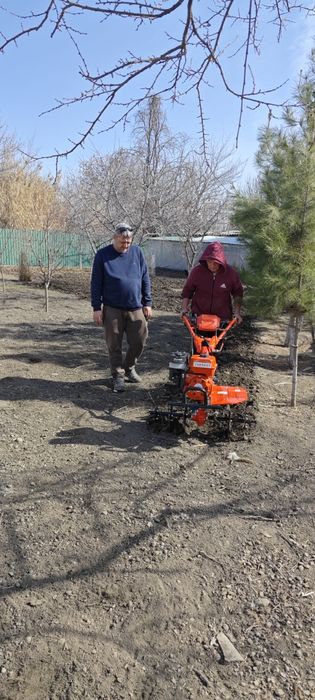 Обработка растений* ёлок плодовых деревьев кустарников и газона