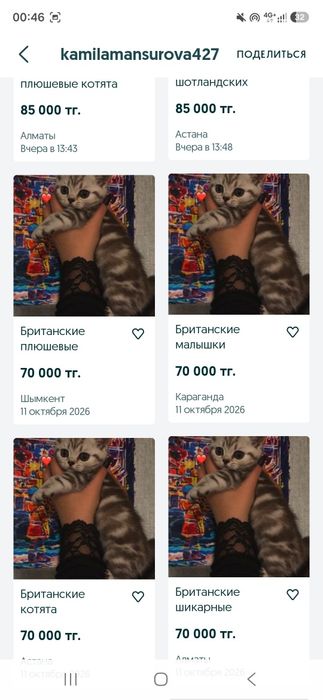 Британские прекупы осторожно