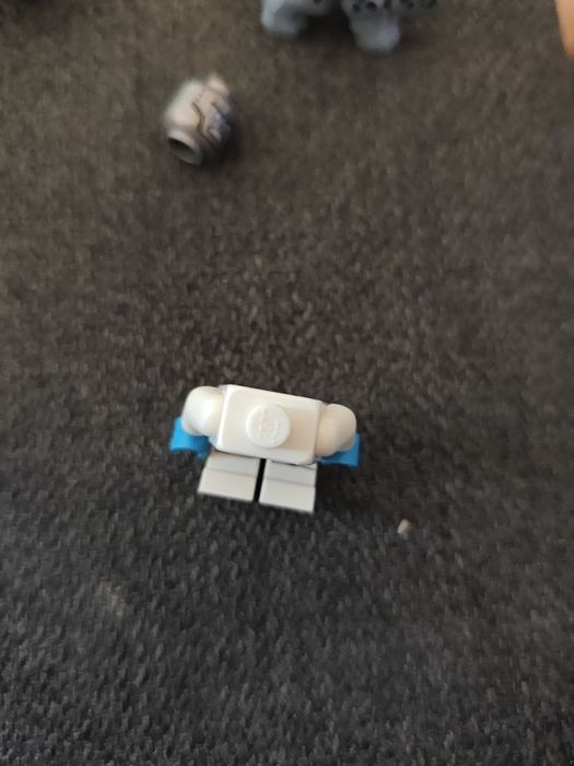 Lego Ninjago Zane FS + arin mini dragon