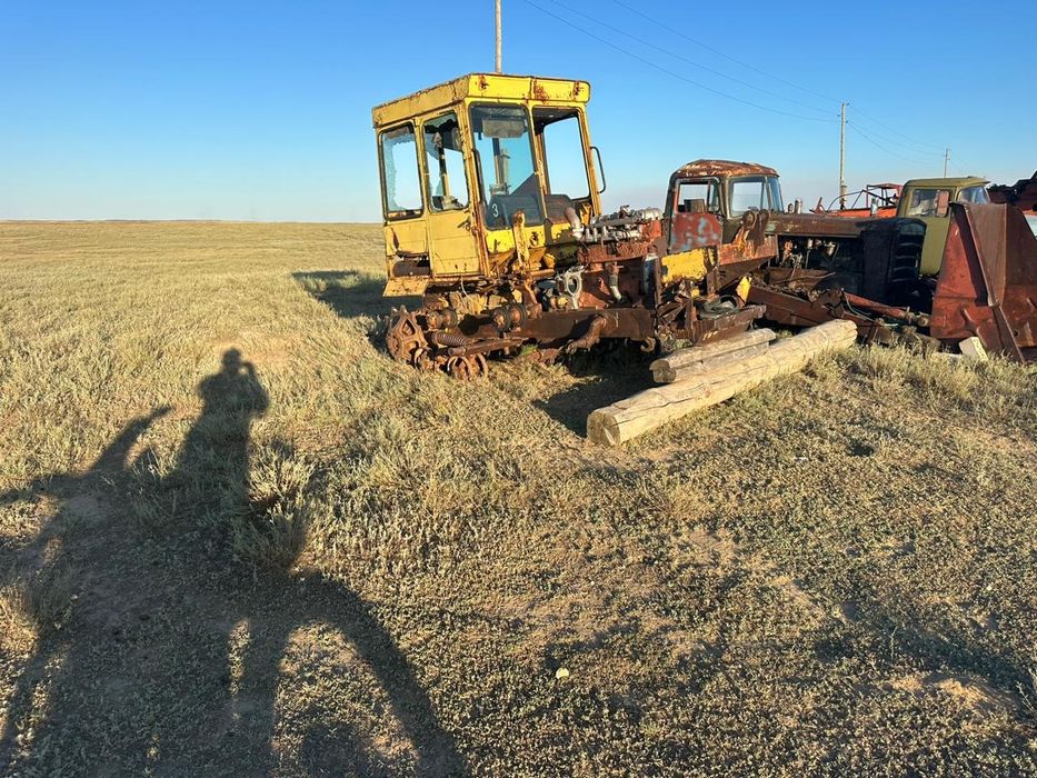 Жылқыға ауыстырамын