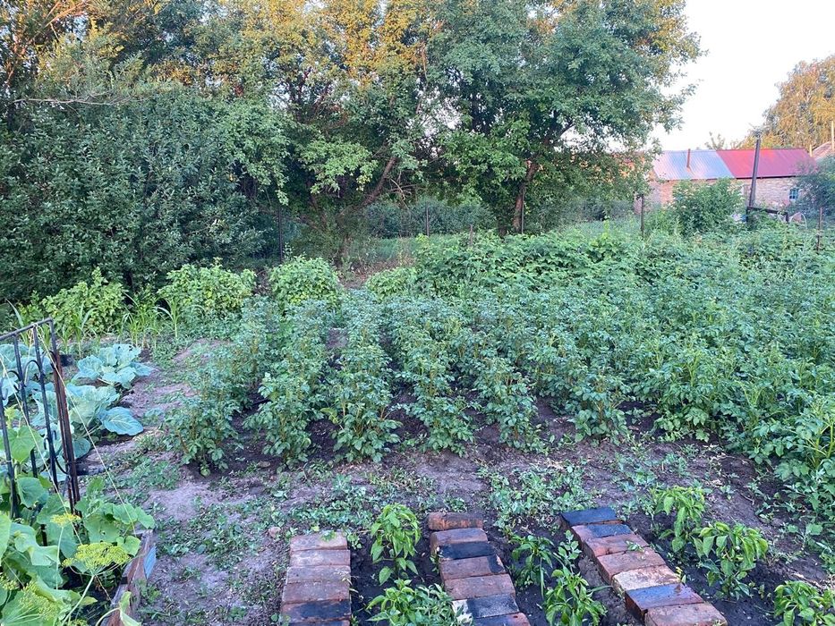 Продам  дом  с.Меновное