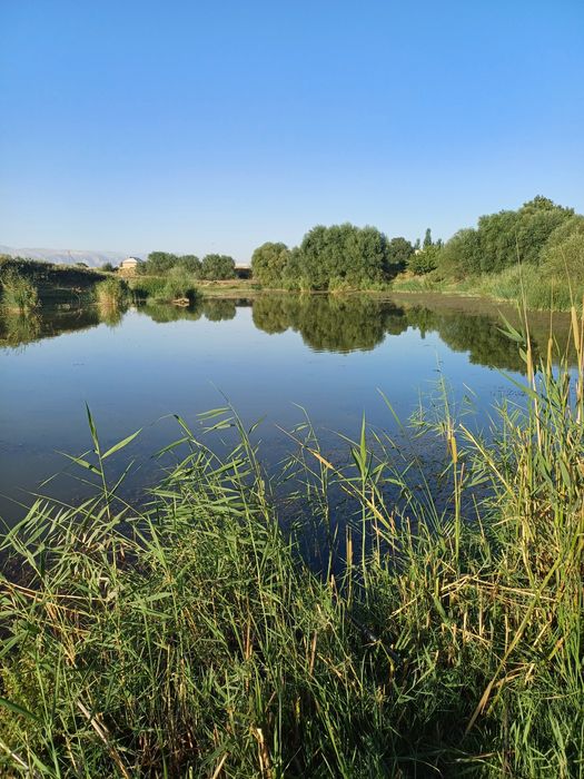 Баликхона узок муддатли ижарага берилади.
