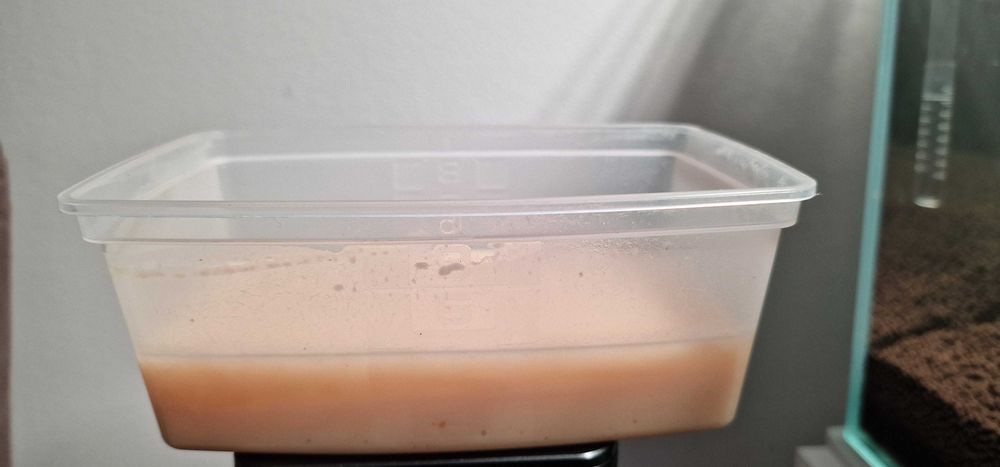 CULTURI mature Microviermi, Bananaworms, Grindal HRANA VIE PT. PESTI