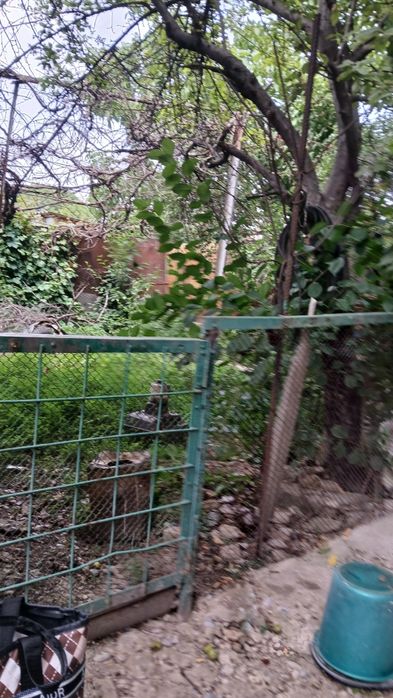 Продается дом в первомаевке