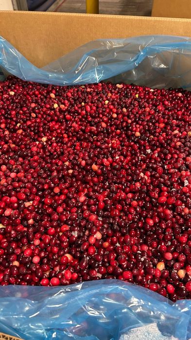 Клюква,замарозка, мин. 10кг со склада Ташкент