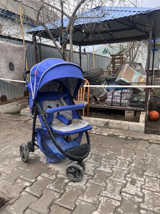 Велики- Коляскии