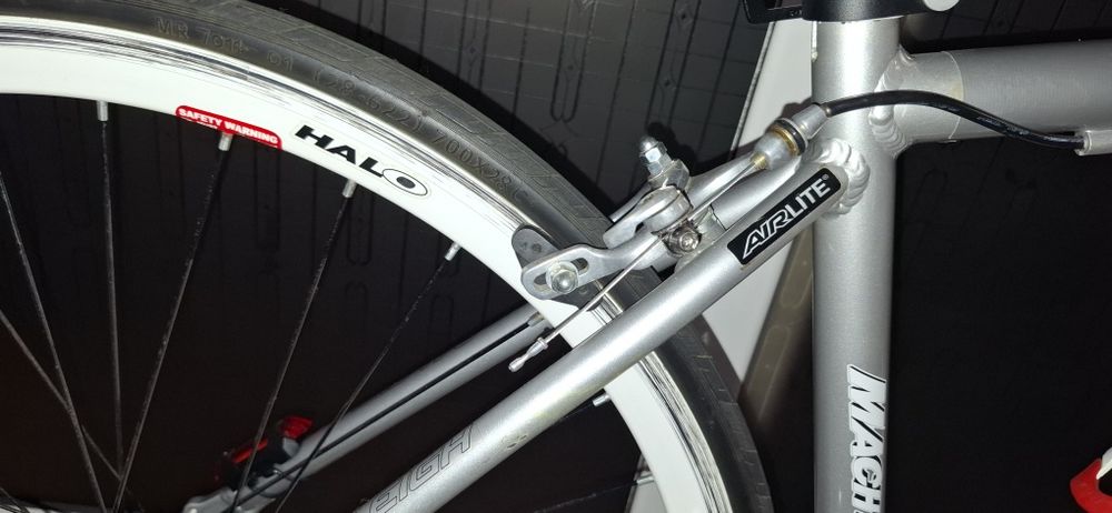 Cursieră Raleigh