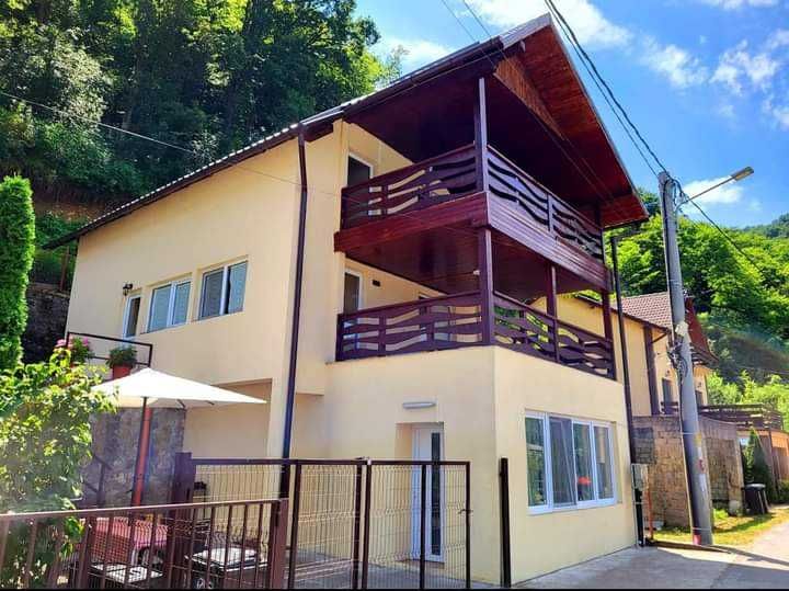 Cazare (integral toată casa) Casa de vacanță pe Clisura Dunării Dubova