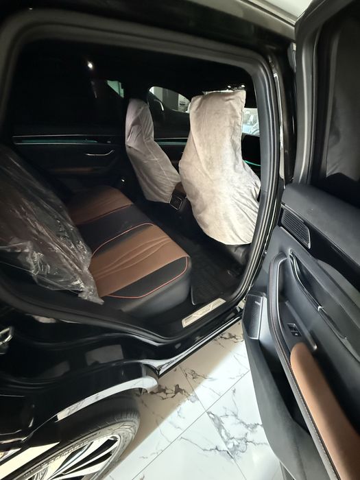 Byd chimpion 150 km