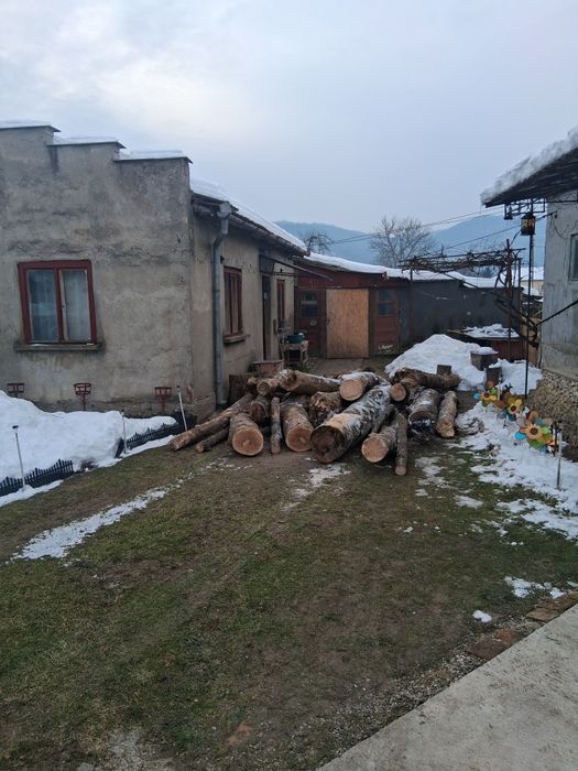 Lemn foc buștean sau crapat