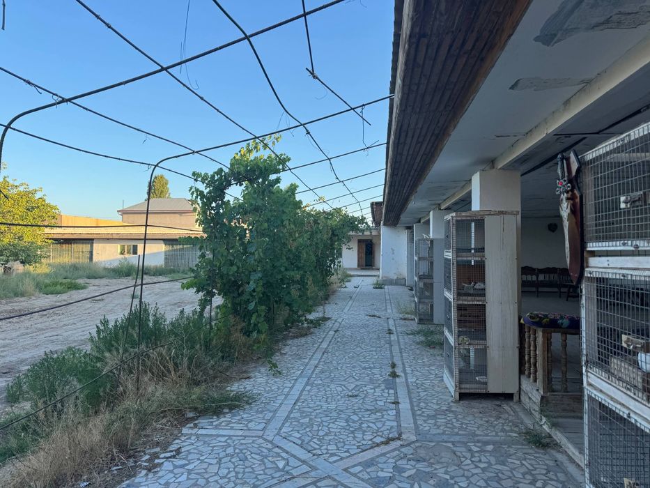 20 sotuk jer satiladi,katej quriwga zor variant.