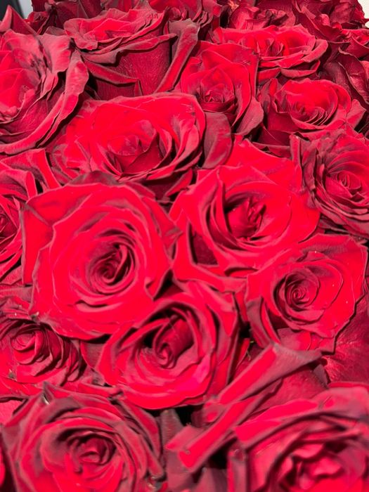 Продам цветы дешево!