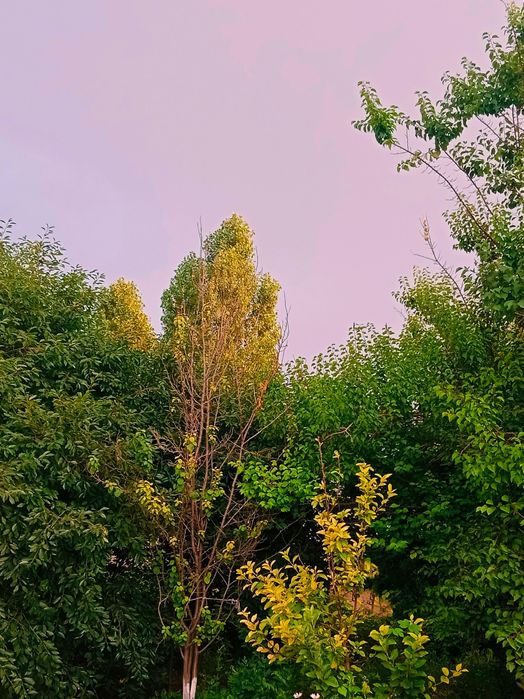 Продаётся дом в Таразе