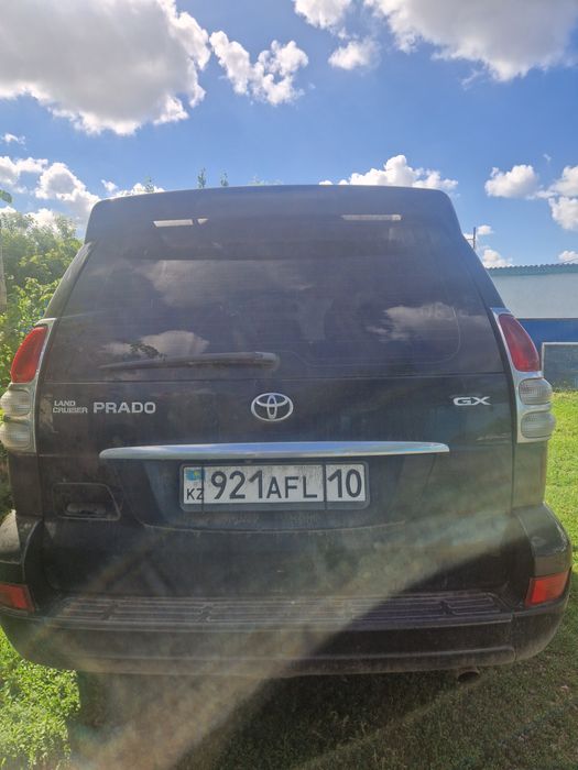 Продам прадик срочно