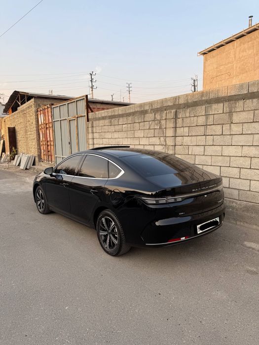 Byd chazor full pazitsiya