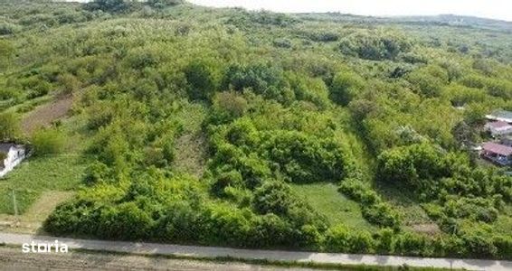 Teren intravilan Balteni, cota parte 1/4 ; ID: R3155870