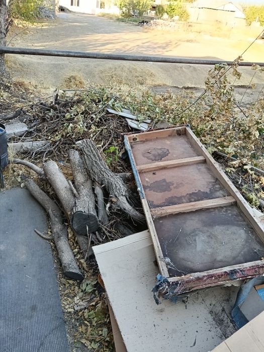 Отын. Ағаштар. Шабылмаған