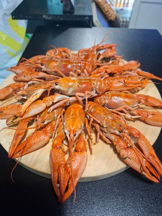 Рыба Раки море продукты.