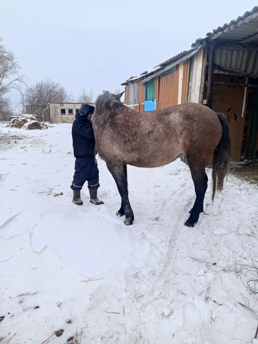 Продам продам продам