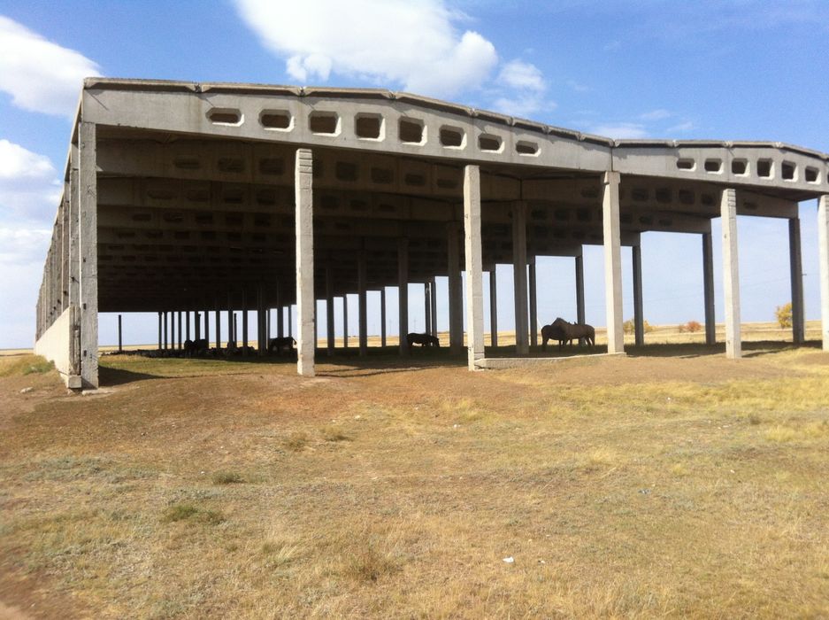 Продам ПКЖ Фермы Колоны