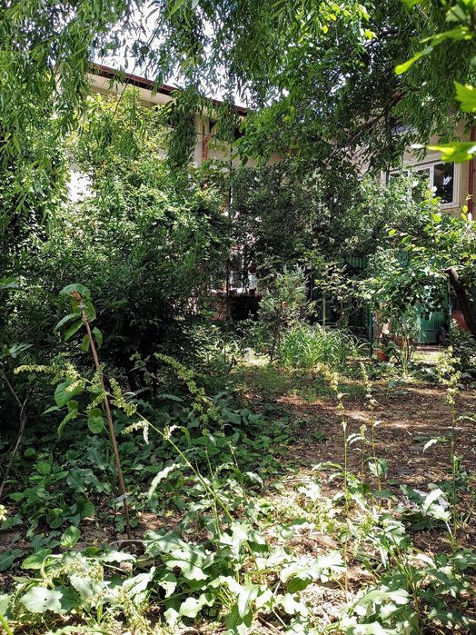 Vila Bucuresti, 5 min de metrou Dimitrie Leonida, 450 mp casa si teren