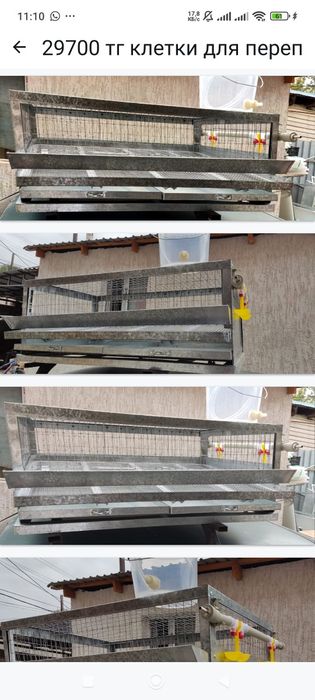 Клетка для птицы перепёлка перепел бөдене