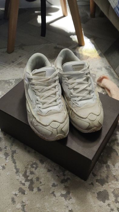 Raf Simons Pharaxus