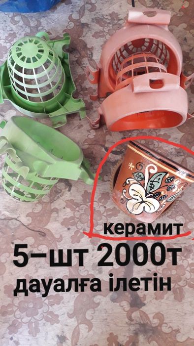 Срочно Рассада ыдыстар.Гүл ыдыстар.