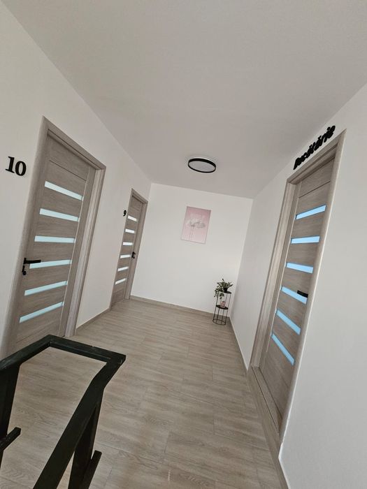 echipa ,meseriași ,constructii ,zidari, faianțar.