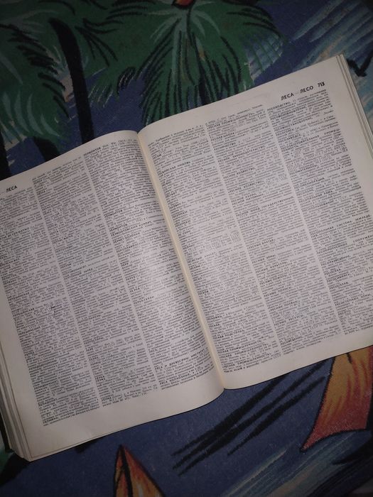 Советский энциклопедический словарь