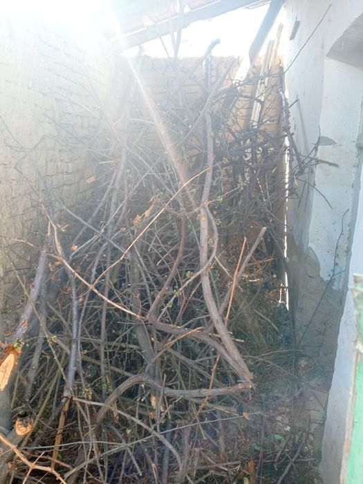 Хезум,дрова,utin