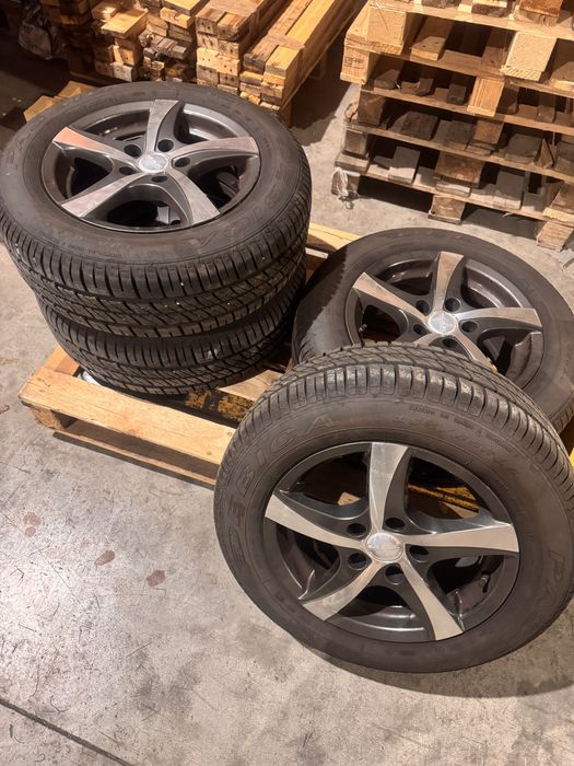Vand genti vw  pe 15