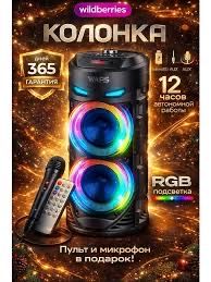 Колонка портативная