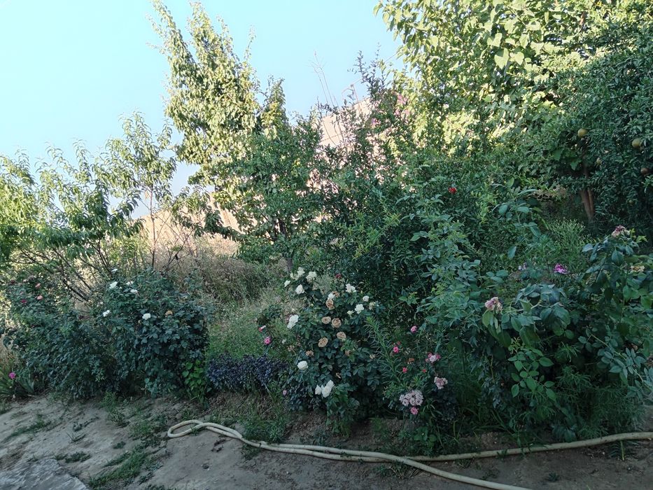 Срочно ховли сотилади
