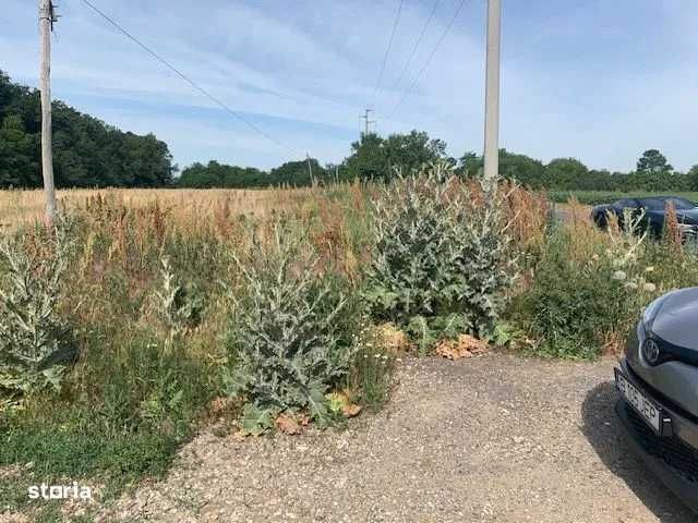 Propr inchiriez 27.000 mp teren la padure langa Bucurest 1000 eur/luna