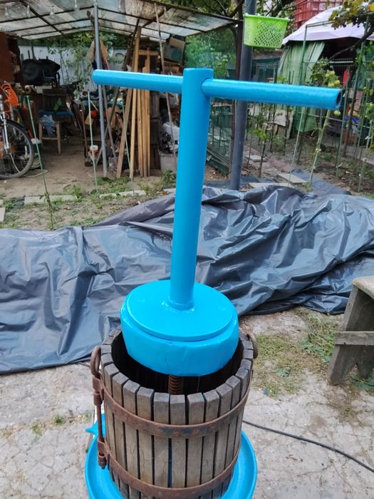 Teasc struguri mic