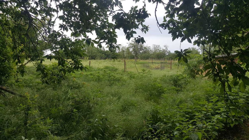 Продавам къща в село червенци
