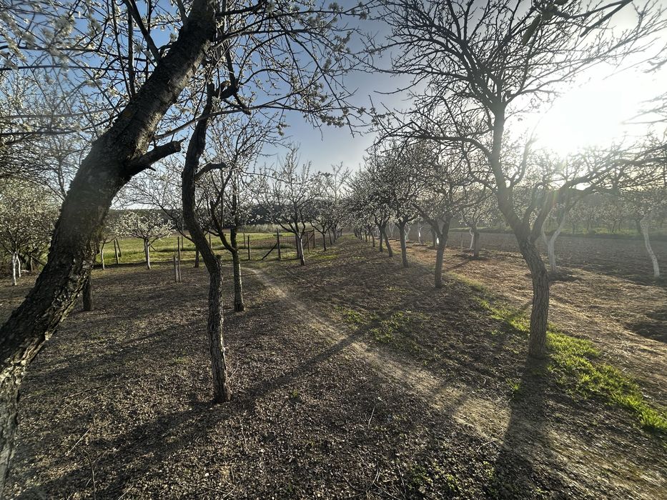 Proprietate Lunca Corbului jud arges 2600 mp