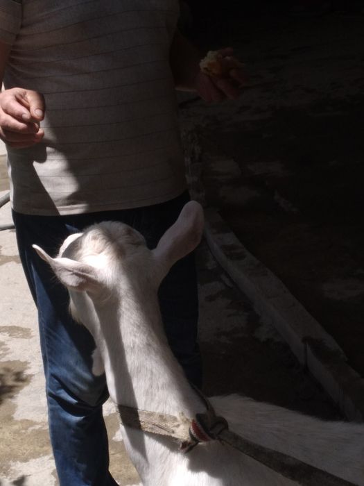 Ечки сотувдаьььб