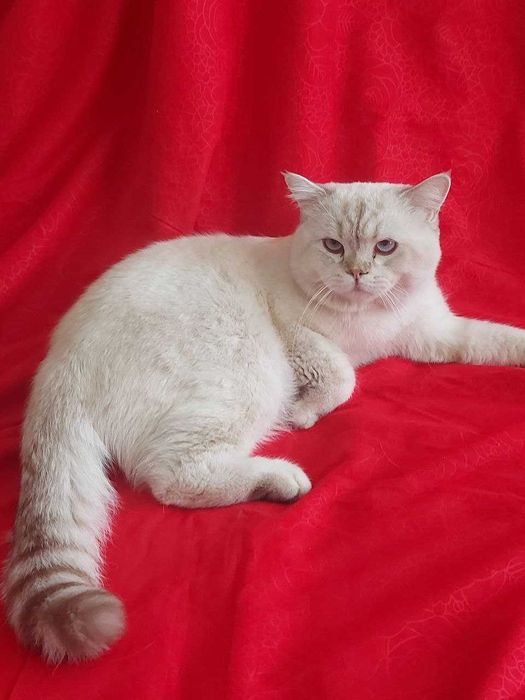 Er, uning xotini va uning sevgilisi porno onlayn tomosha qilish