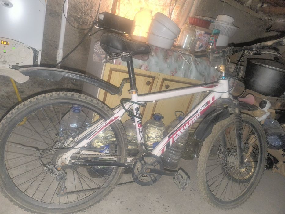 Velik 26 holati yahwi