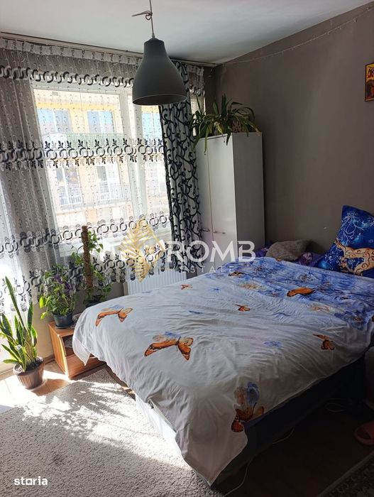 Apartament 3 camere
