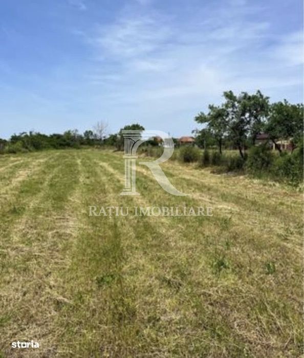 Teren cu proiect de casa | Sititelec | Bihor