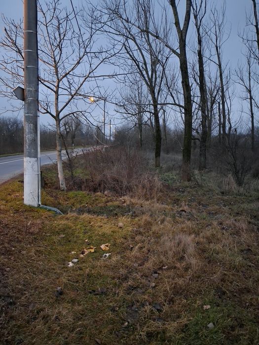 Teren intravilan în Buftea,preț avantajos  !