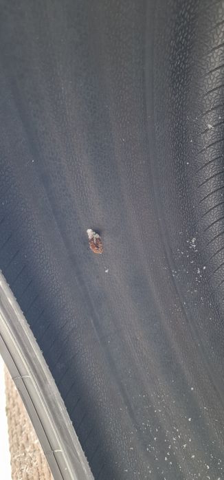 Cauciucuri vara Pirelli PZero PZ4 255/35/R20