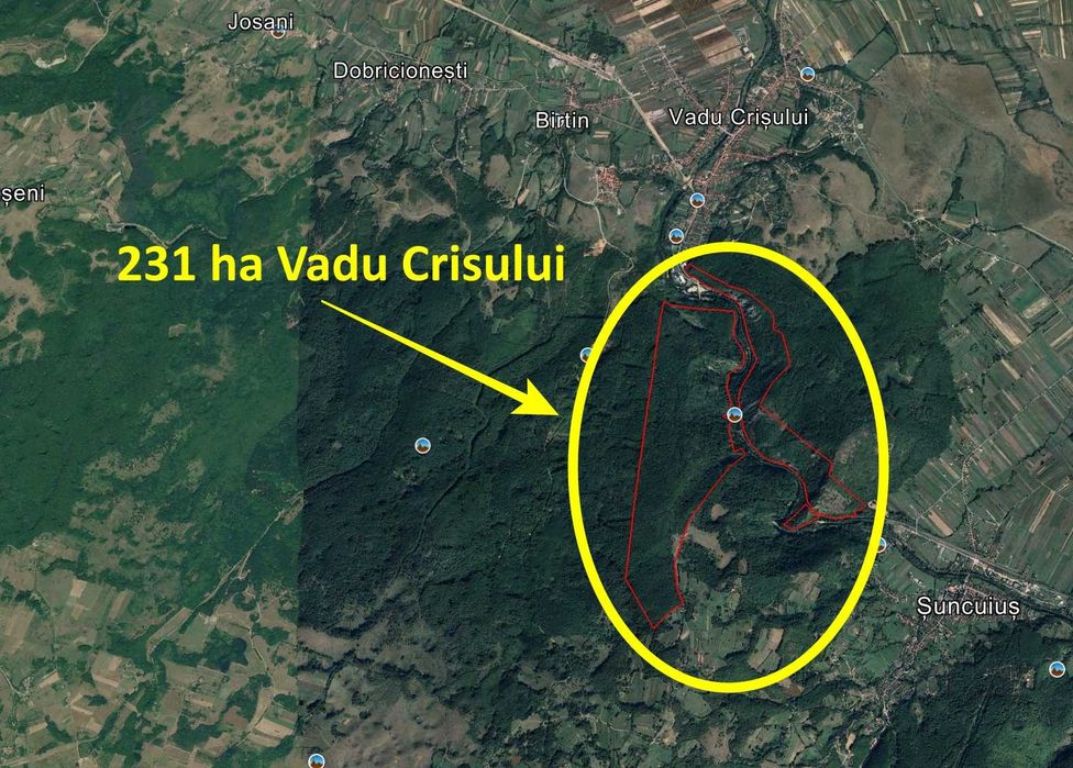 231 ha padure Vadu Crisului, Bihor