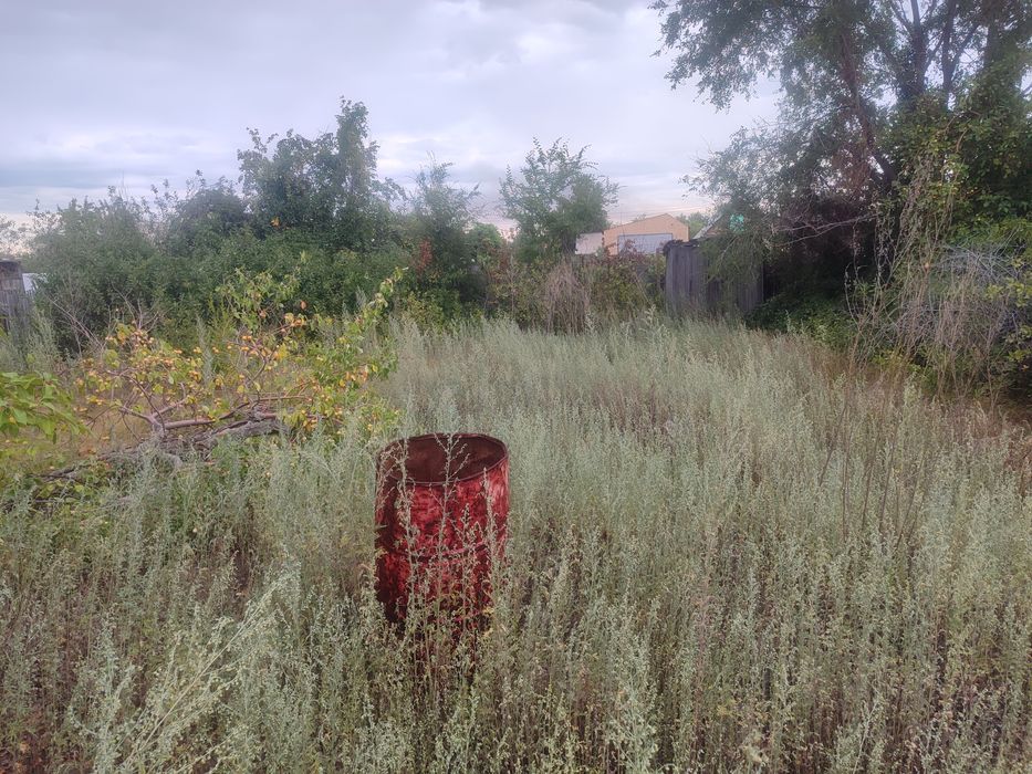 ЯБЛОНЬКА Есть торг продам дачу